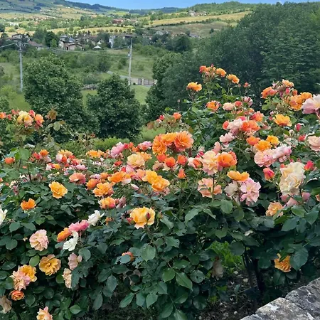 Villa Luxury Countryside Bettola (Emilia-Romagna)