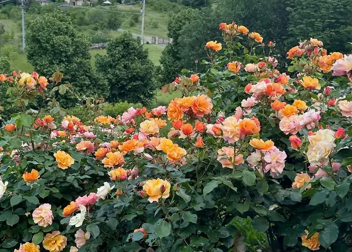 Vila Luxury Countryside Bettola (Emilia-Romagna)