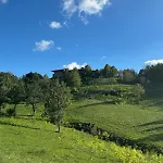Luxury Countryside Villa Bettola (Emilia-Romagna)